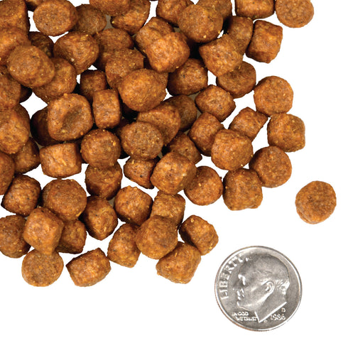 Fromm Four-Star Dry Dog Food - Game Bird - 4lb Bag